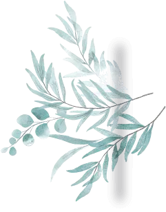 Soft eucalyptus leaves - refreshing and calming element for salon ambiance